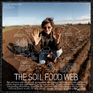 Soil_Food_Web