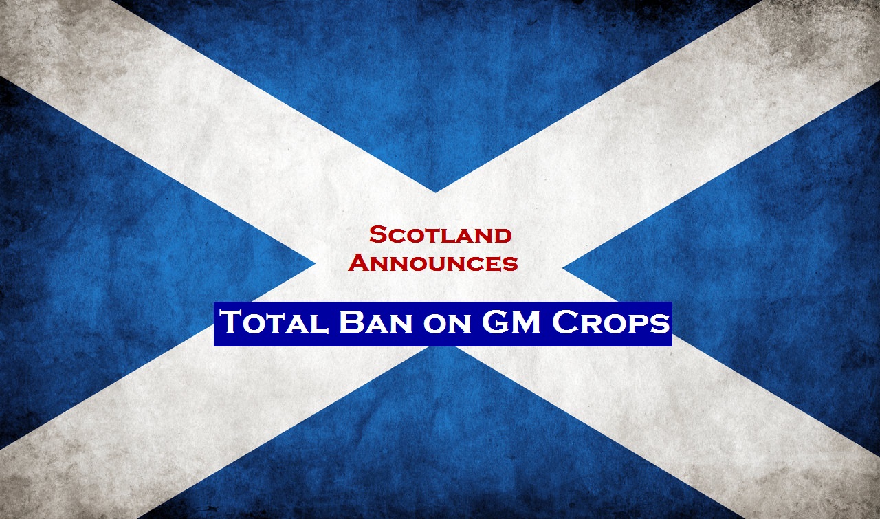scotland_grungy_flag_by_think0b
