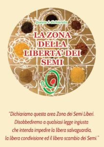 seed freedom zone italiano completa