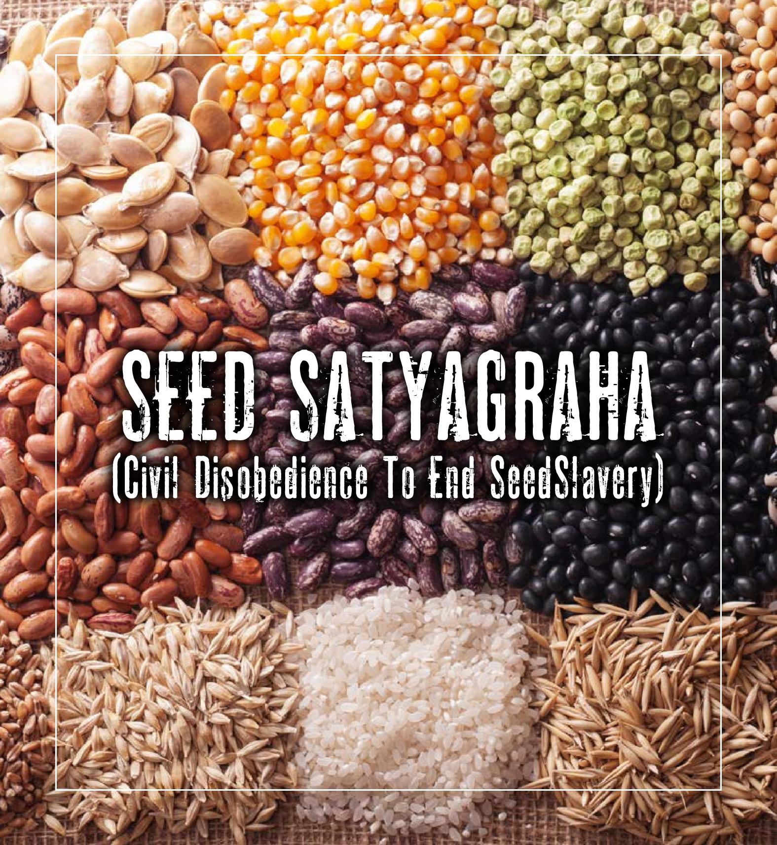Seed Satyagraha Booklet 1-page-001