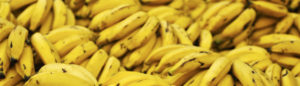 cropped-bananas-925216