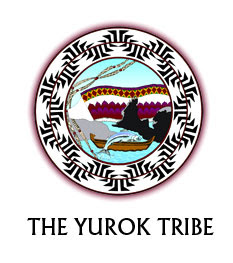 tribe-logo