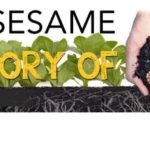 'Open Sesame - The Story of Seeds' Movie Screening