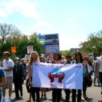 WECAN at the People's Climate March & Climate Week 2014: Events and Wall of Women Action!