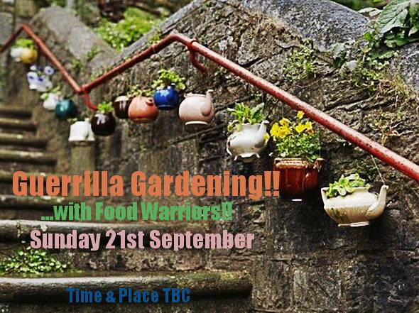 Seedbombing Sunday!! Guerrilla Gardening!!
