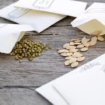 Seed Saving with the Cleveland Seed Bank