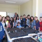 School Vegetable Garden & Seedbeds with traditional seeds / ΣΠΟΡΕΙΟ & ΣΧΟΛΙΚΟΣ ΚΗΠΟΣ στο ΓΕΛ ΑΙΓΙΝΑΣ