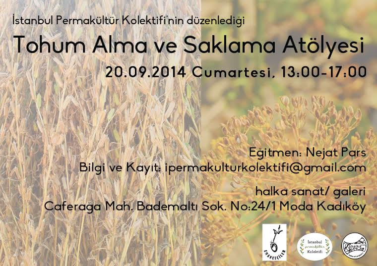 Tohum Alma ve Saklama Atölyesi, How to take seeds from plant and keep them