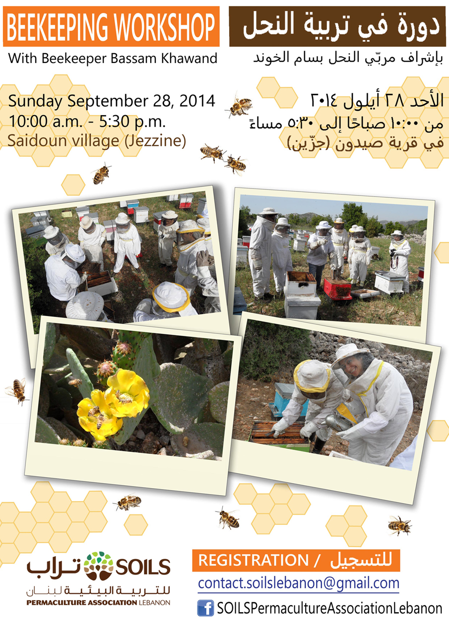 Introduction to Beekeeping