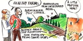 Monsanto Supersizes Farmers’ Weed Problem–but Science Can Solve It