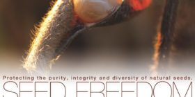 SEED FREEDOM: Seeds, Soil and Food for the Future