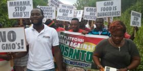 The Seed belongs to us not to Monsanto — Ghana