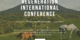 Regeneration International Conference