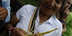 II Encuentro Nacional de la Red de Semillas Libres de Colombia