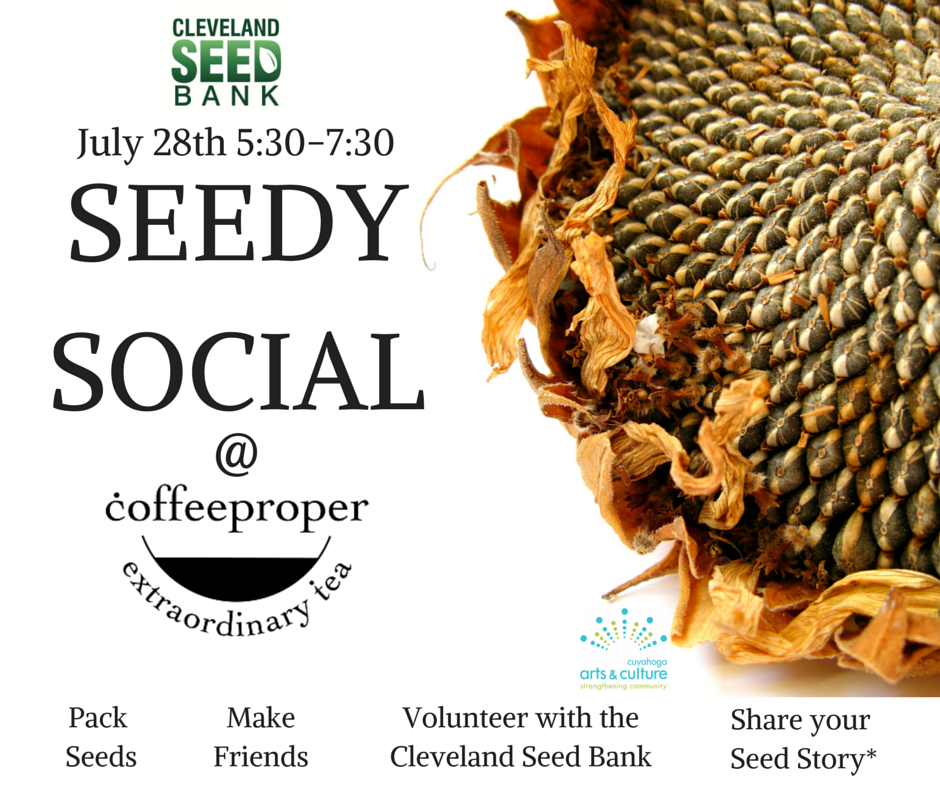Seedy Social