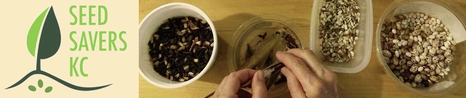SeedSavers-KC Seed Saving 101 free classes