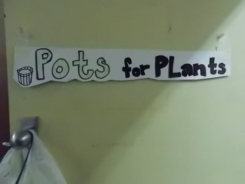 Children's seed potting-up to take home