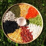 SEED SOVEREIGNTY ~ Saving Seeds & Building Community
