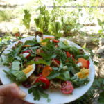 Crete's Culinary Sanctuaries Eco-Agro Network Educational Programs