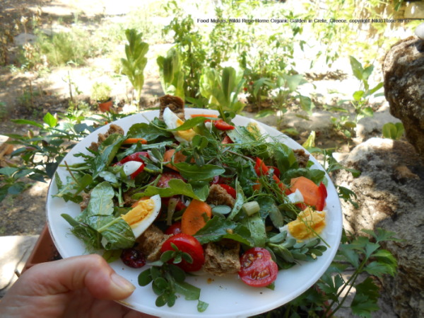 Crete's Culinary Sanctuaries Eco-Agro Network Educational Programs