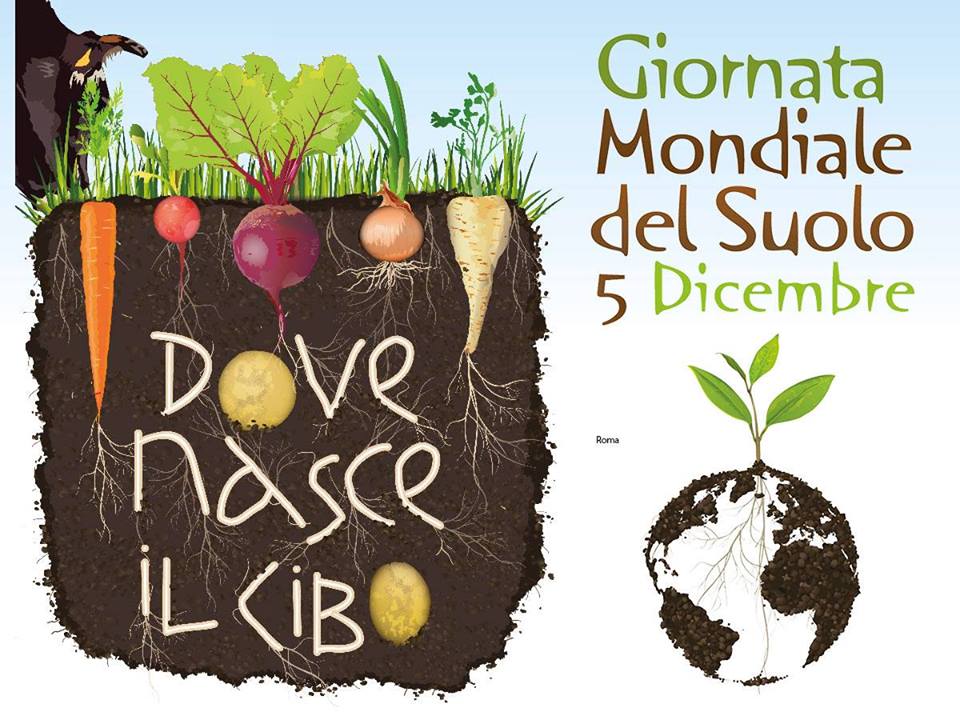 Soil Day - La vita sotto i nostri piedi