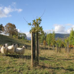 Workshop on Regenerative Agriculture and Land Use