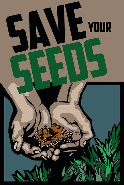 LIRSC Annual Seed Swap