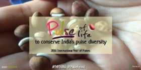 Navdanya ‘Pulse of Life’ Campaign Launch