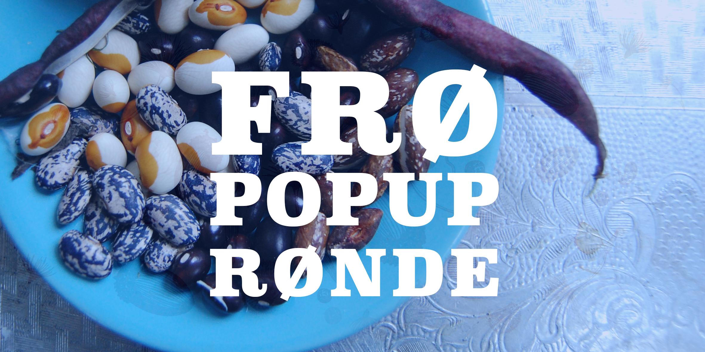 FRØ POPUP RØNDE