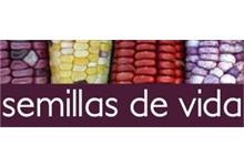 Fundación Semillas de Vida – Mexico