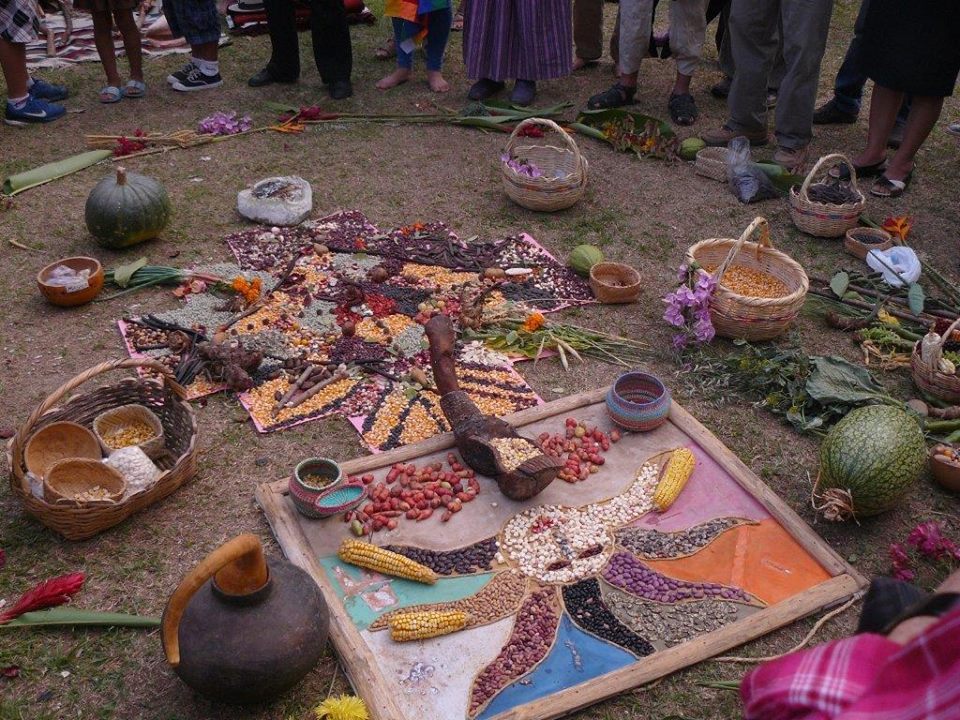 Seed Guardians join People’s Assembly - Ecuador