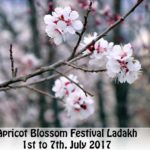 Earth Journeys to the Himalayas: Journey to Ladakh