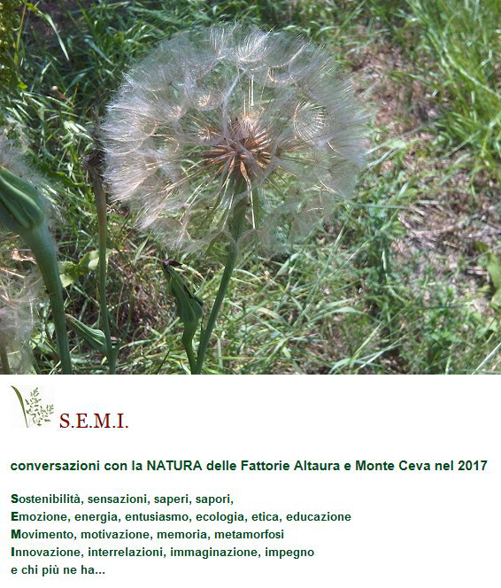 S.E.M.I. conversazioni con la NATURA / conversations on NATURE
