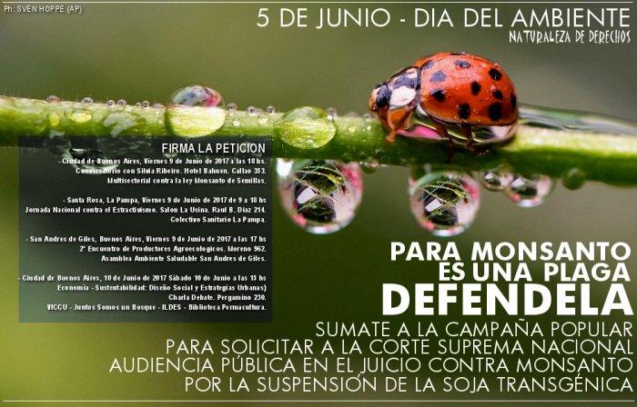 Campaña Popular de Adhesion a la Solicitud de Audiencia Publica a la Corte Suprema Nacional Argentina por la Soja Transgénica de Monsanto.