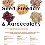 Celebrating Seed Freedom & Agroecology - Yogyakarta