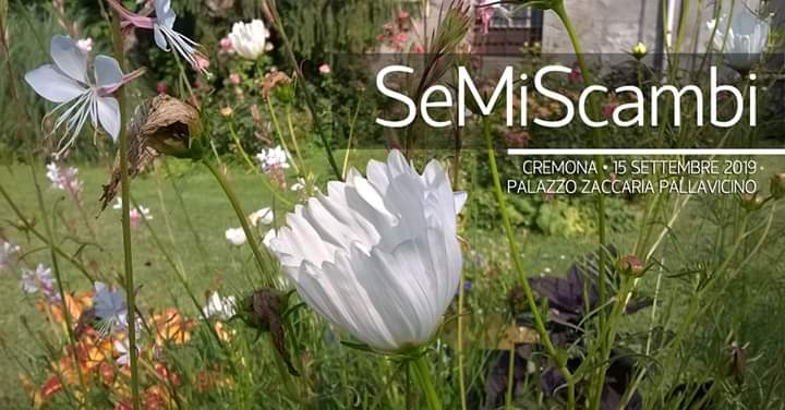 SeMiScambi 2019